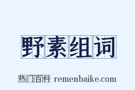 野素组词是什么意思的图片